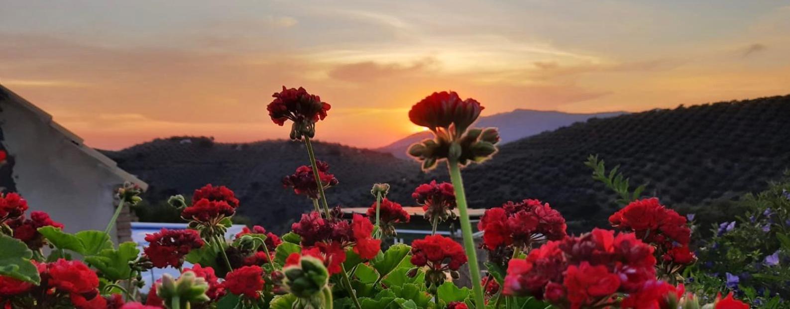 Cortijo Chaparro Near Iznajar